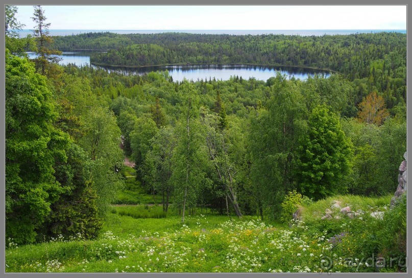 Соловецкий архипелаг в июне, часть 4.