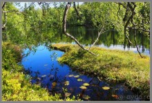 Соловецкий архипелаг в июне, часть 4.