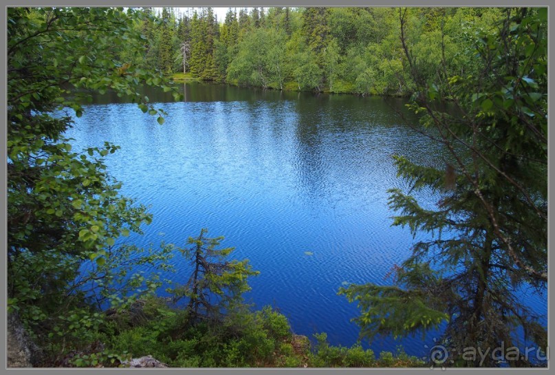Соловецкий архипелаг в июне, часть 4.