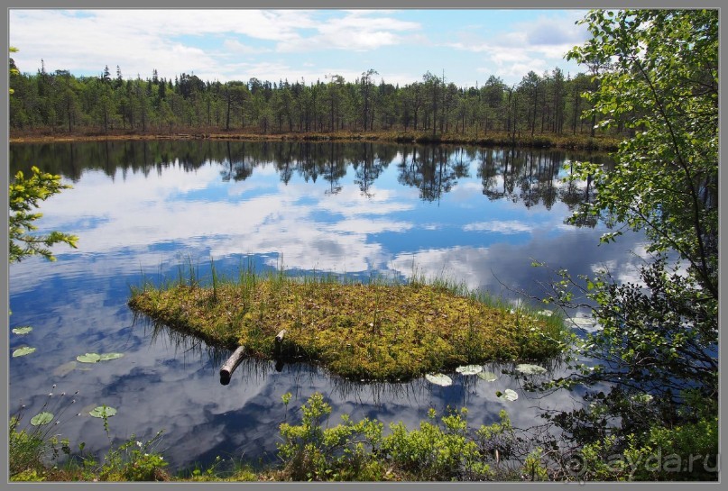 Соловецкий архипелаг в июне, часть 4.