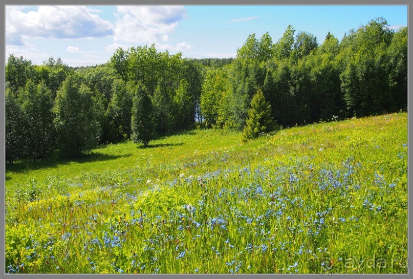 Соловецкий архипелаг в июне, часть 4.