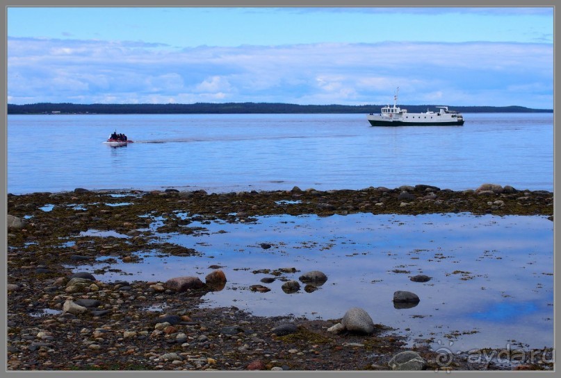 Соловецкий архипелаг в июне, часть 4.
