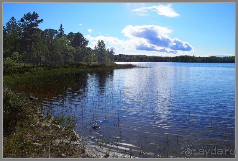 Соловецкий архипелаг в июне, часть 4.