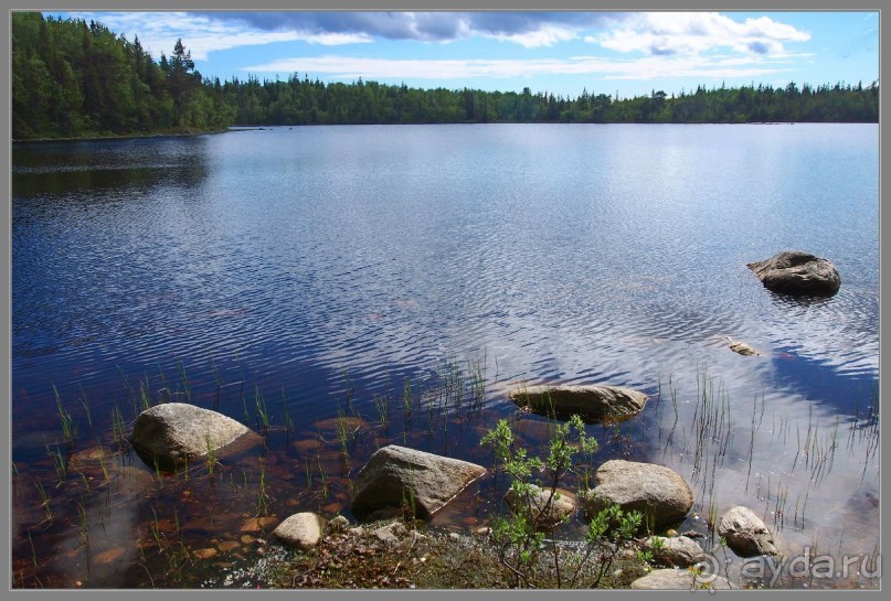 Соловецкий архипелаг в июне, часть 4.