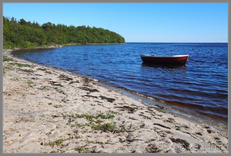 Соловецкий архипелаг в июне, часть 4.