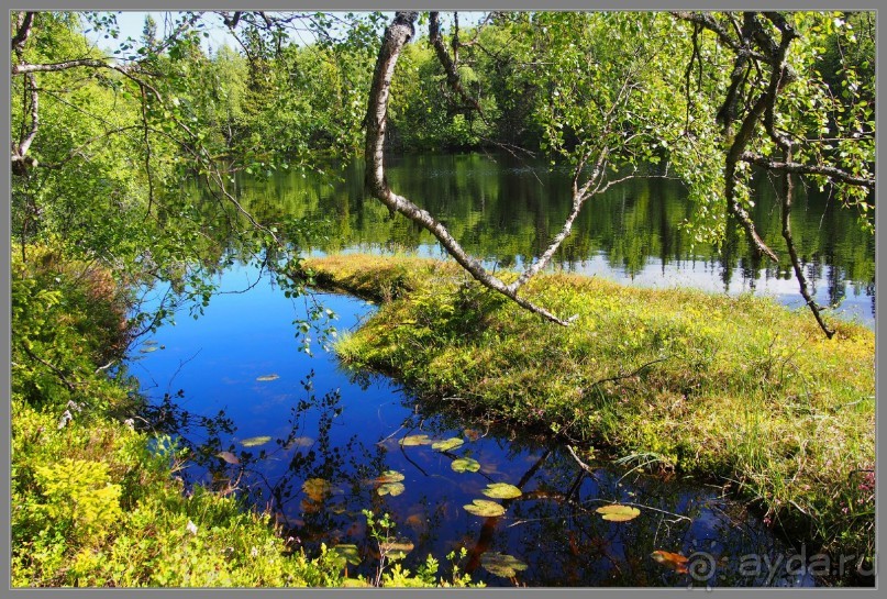 Соловецкий архипелаг в июне, часть 4.