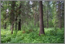 Отпуск на Урале, 1 часть.