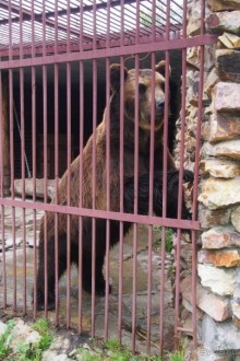 Отпуск на Урале, 1 часть.