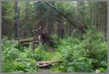 Отпуск на Урале, 1 часть.