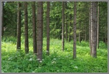 Отпуск на Урале, 1 часть.