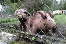 Отпуск на Урале, 1 часть.