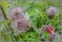 Отпуск на Урале, 1 часть.