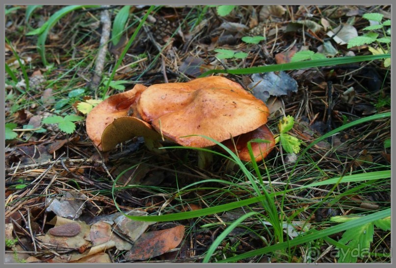 Отпуск на Урале, 1 часть.