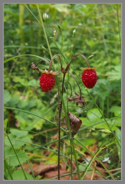 Отпуск на Урале, 1 часть.