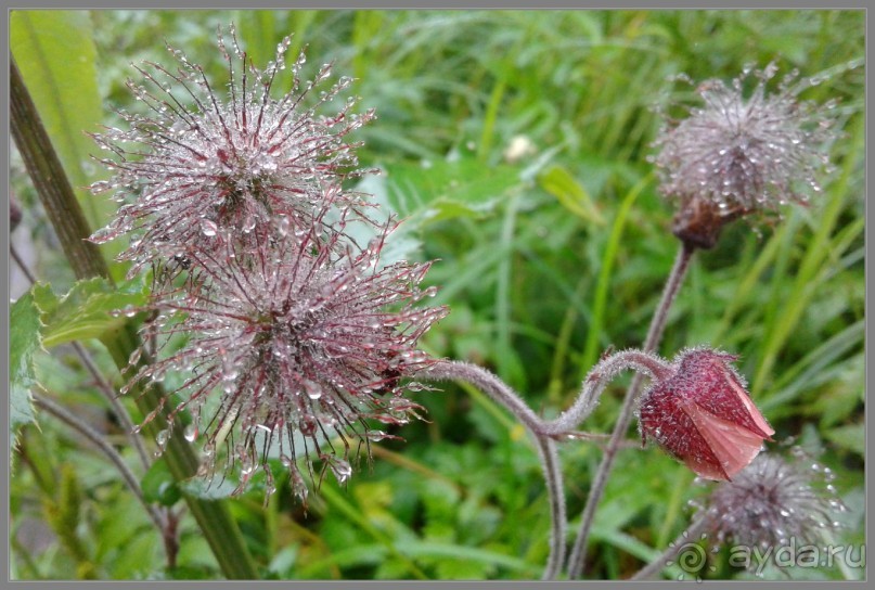 Отпуск на Урале, 1 часть.