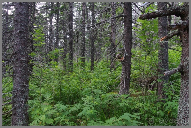 Отпуск на Урале, 2 часть.