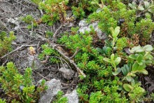 Отпуск на Урале, 2 часть.