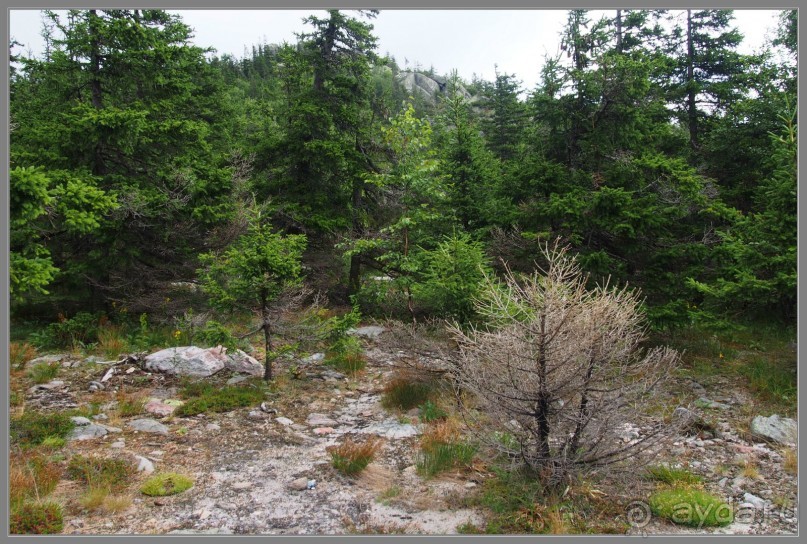 Отпуск на Урале, 2 часть.