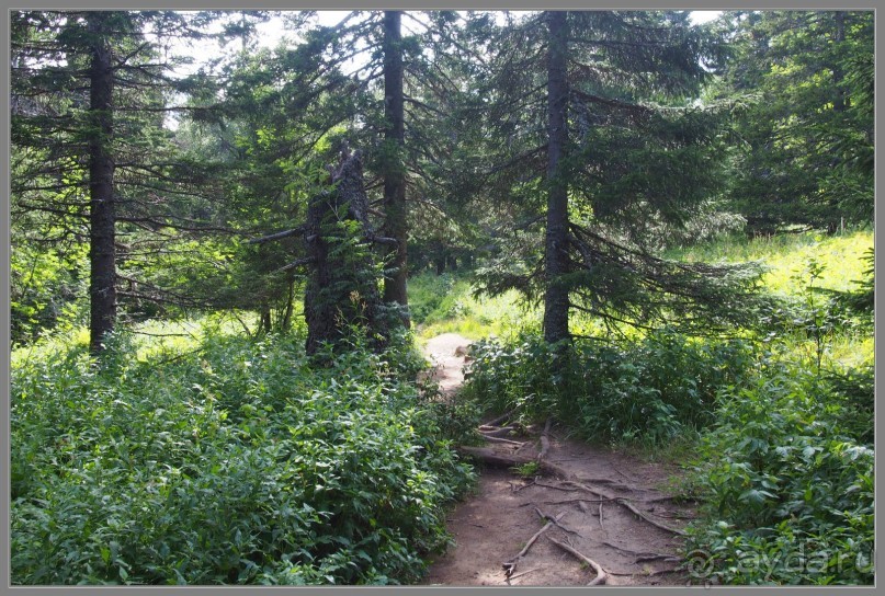 Отпуск на Урале, 2 часть.