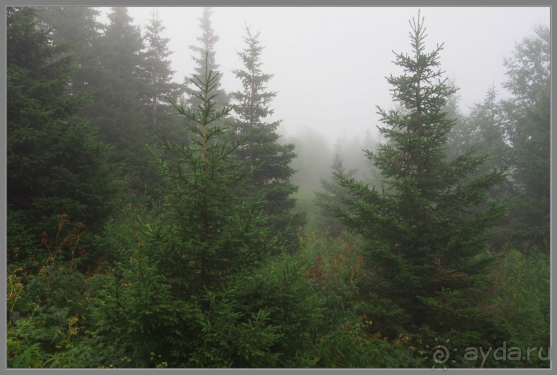 Отпуск на Урале, 2 часть.