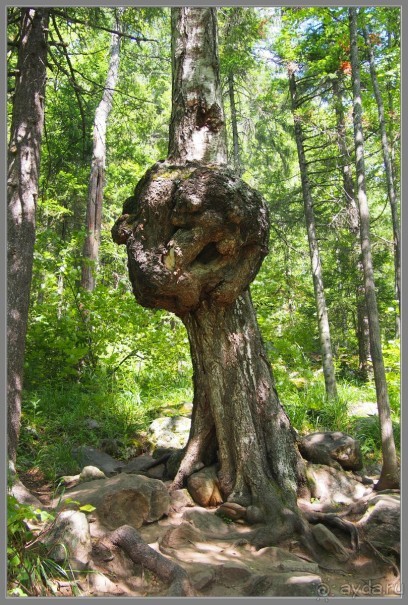 Отпуск на Урале, 2 часть.