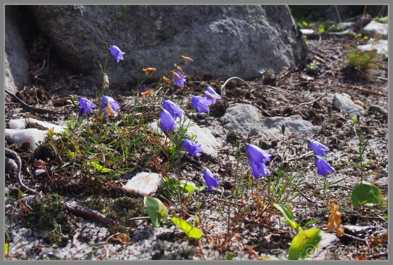 Отпуск на Урале, 2 часть.