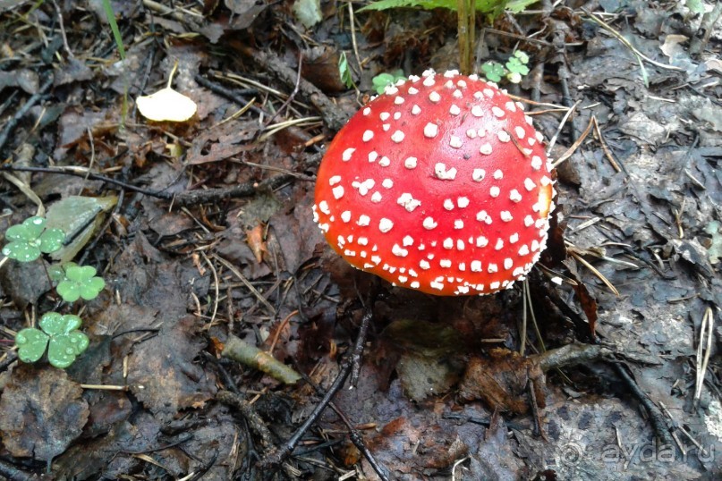 Отпуск на Урале, 2 часть.