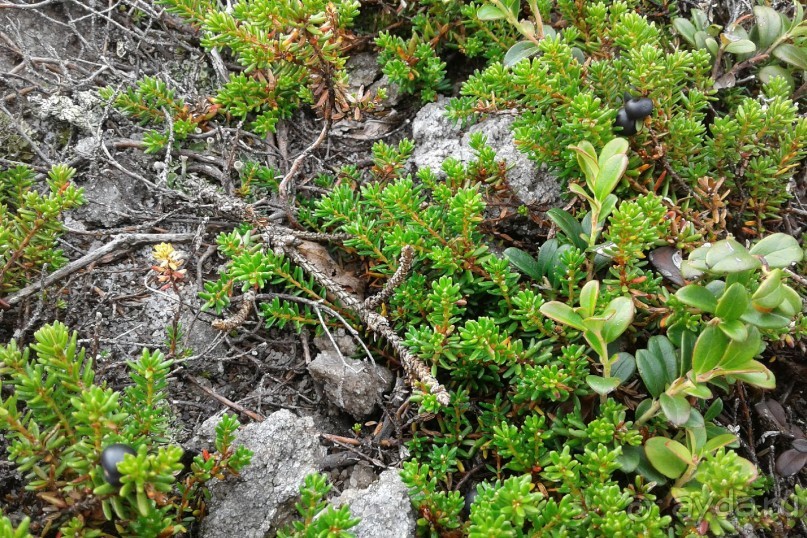 Отпуск на Урале, 2 часть.