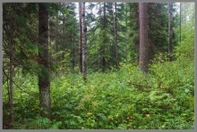 Отпуск на Урале, 3 часть