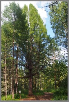 Отпуск на Урале, 3 часть