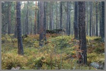 Осеннее Приэльбрусье.