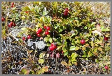 Осеннее Приэльбрусье.