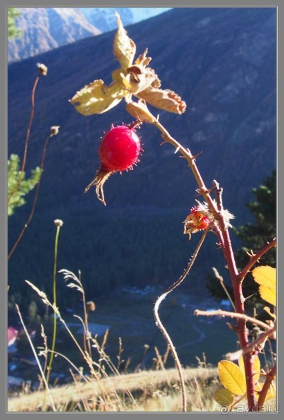 Осеннее Приэльбрусье.