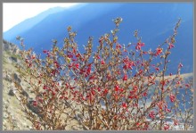 Осеннее Приэльбрусье.