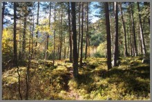 Осеннее Приэльбрусье.