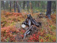 Осеннее Приэльбрусье.