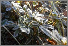 Осеннее Приэльбрусье.