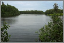 Альбом отзыва "Соловецкий архипелаг в июне, часть 5."