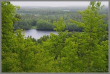 Соловецкий архипелаг в июне, часть 5.