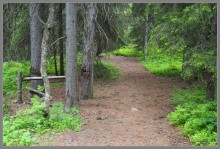 Соловецкий архипелаг в июне, часть 5.