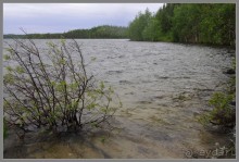 Альбом отзыва "Соловецкий архипелаг в июне, часть 5."