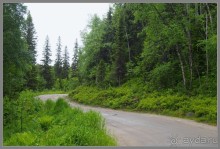 Альбом отзыва "Соловецкий архипелаг в июне, часть 5."