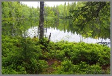 Альбом отзыва "Соловецкий архипелаг в июне, часть 5."