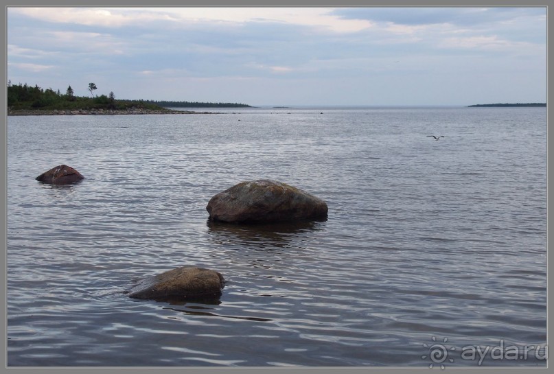 Соловецкий архипелаг в июне, часть 5.