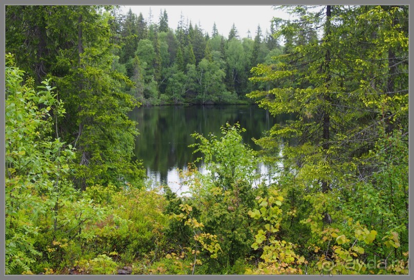 Альбом отзыва "Соловецкий архипелаг в июне, часть 5."