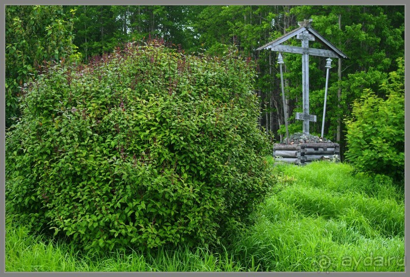 Соловецкий архипелаг в июне, часть 5.