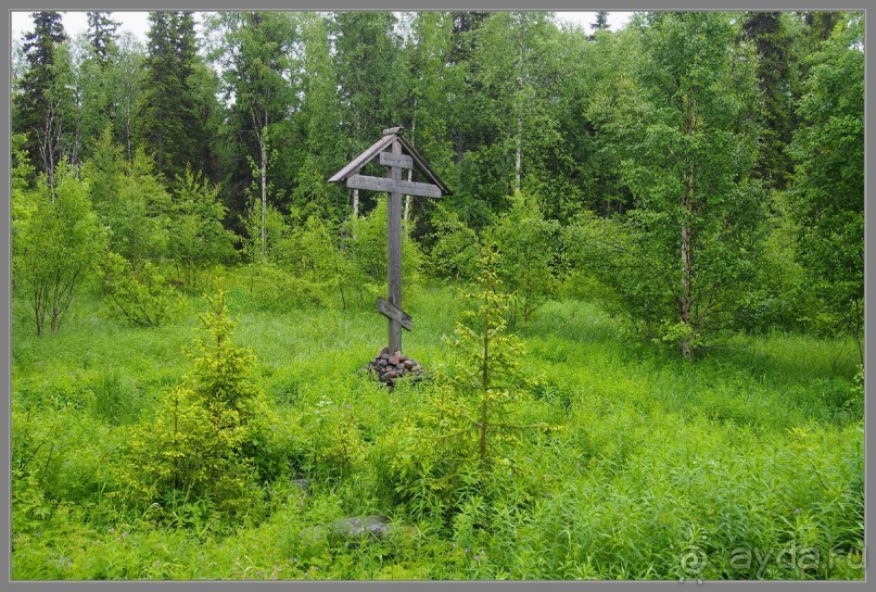 Соловецкий архипелаг в июне, часть 5.