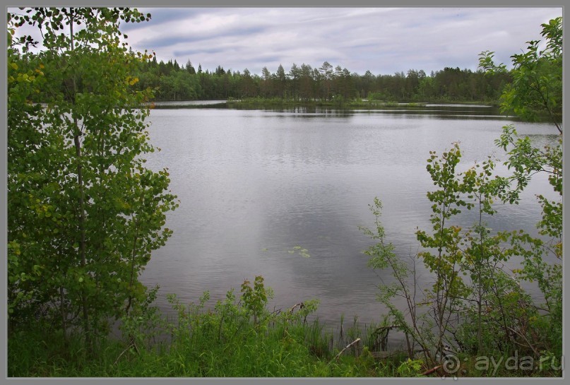 Соловецкий архипелаг в июне, часть 5.