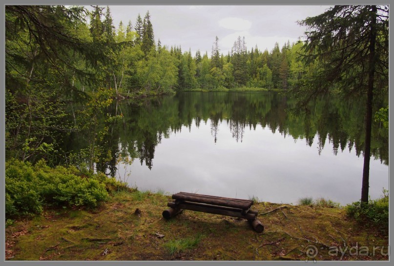 Соловецкий архипелаг в июне, часть 5.