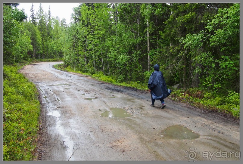 Соловецкий архипелаг в июне, часть 5.
